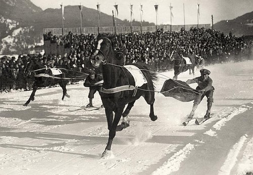 Skijoring