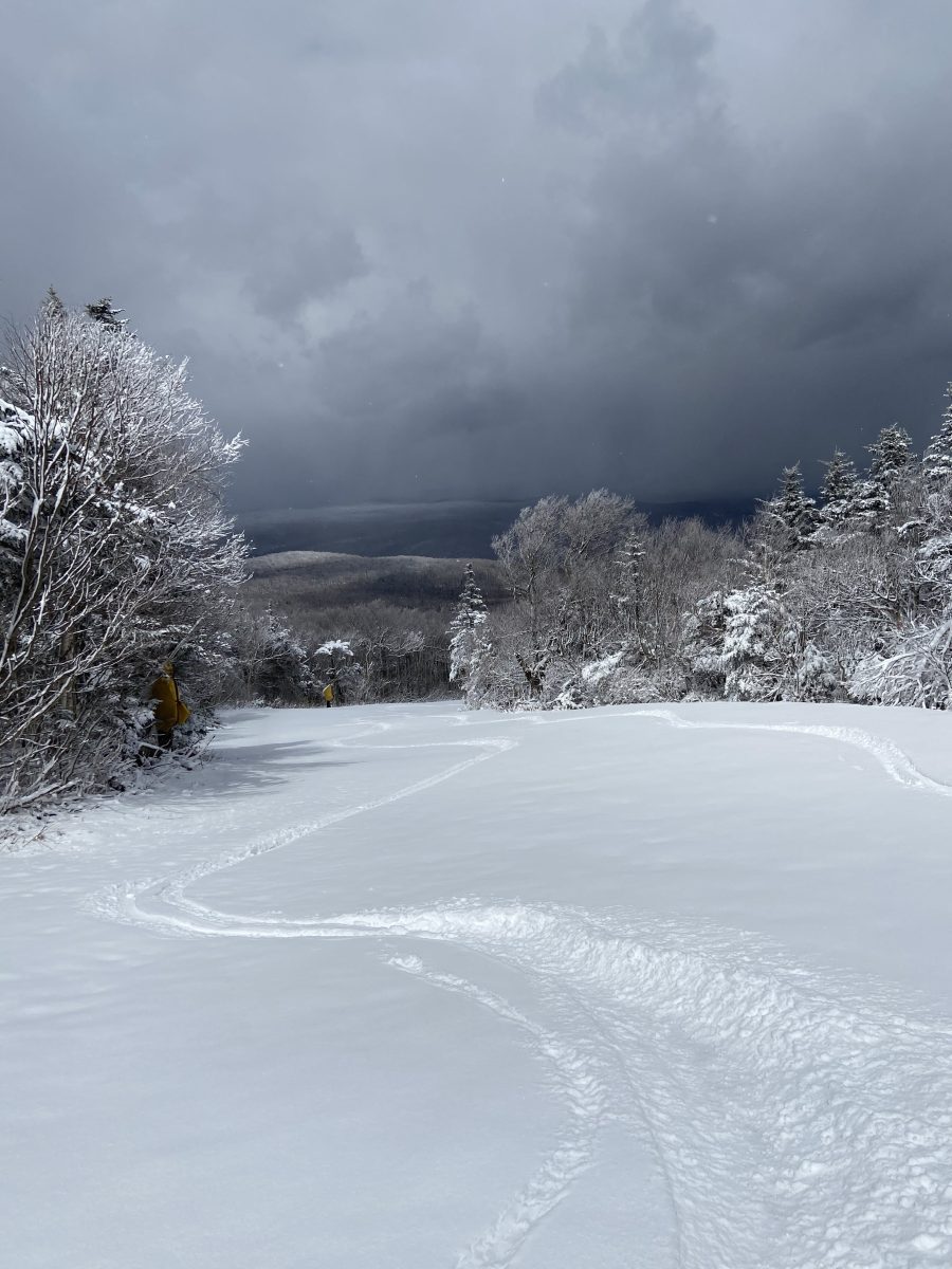 Second tracks on Slalom Glade