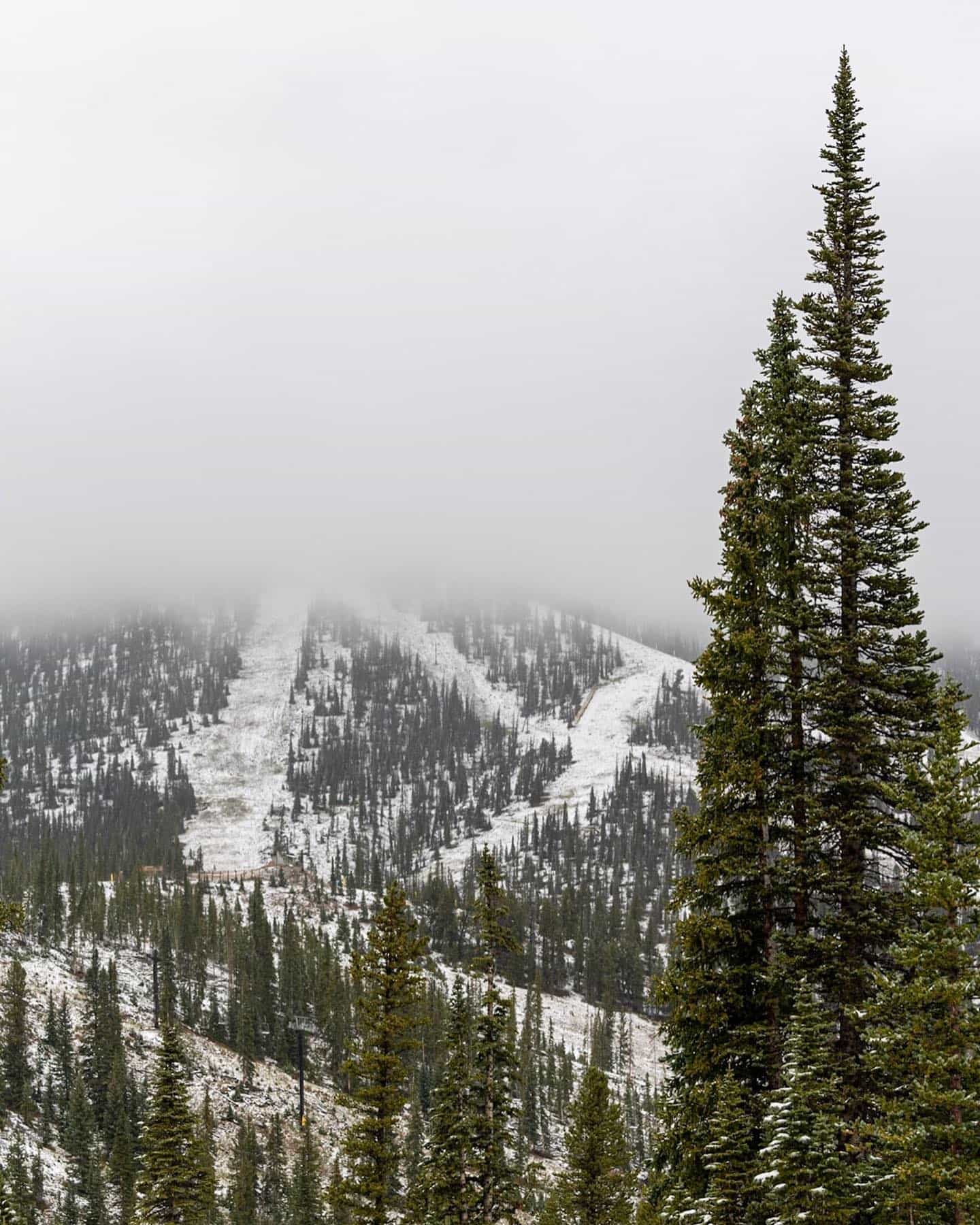 Colorado snow,