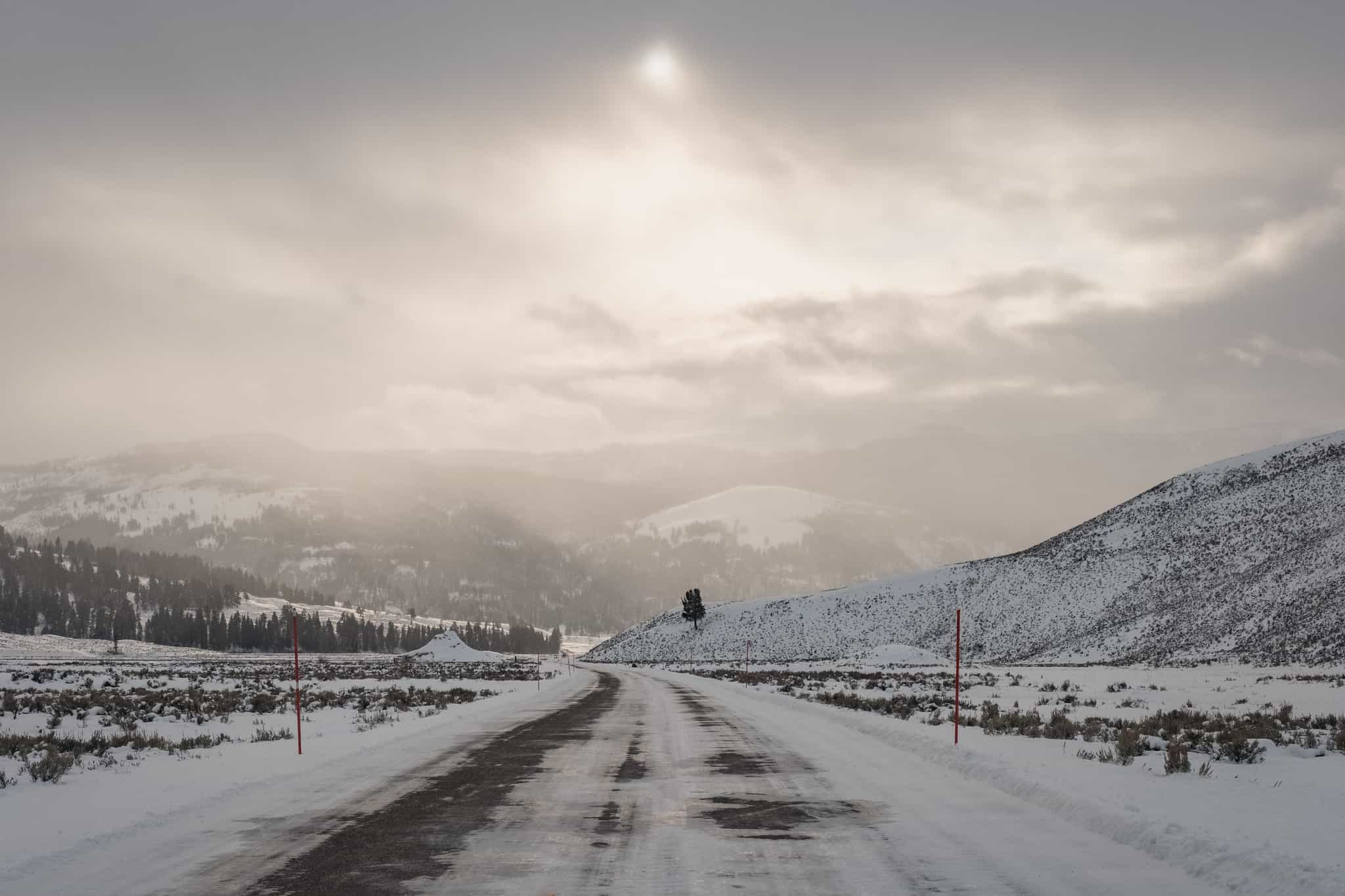 yellowstone,