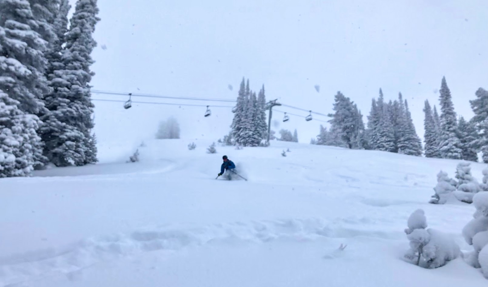 Teton Powder