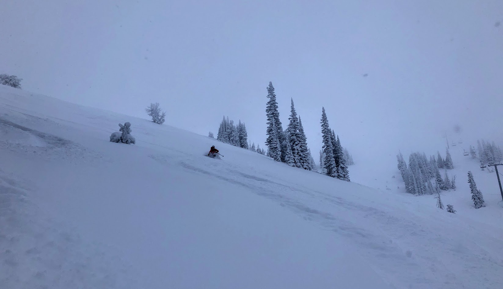 teton powder