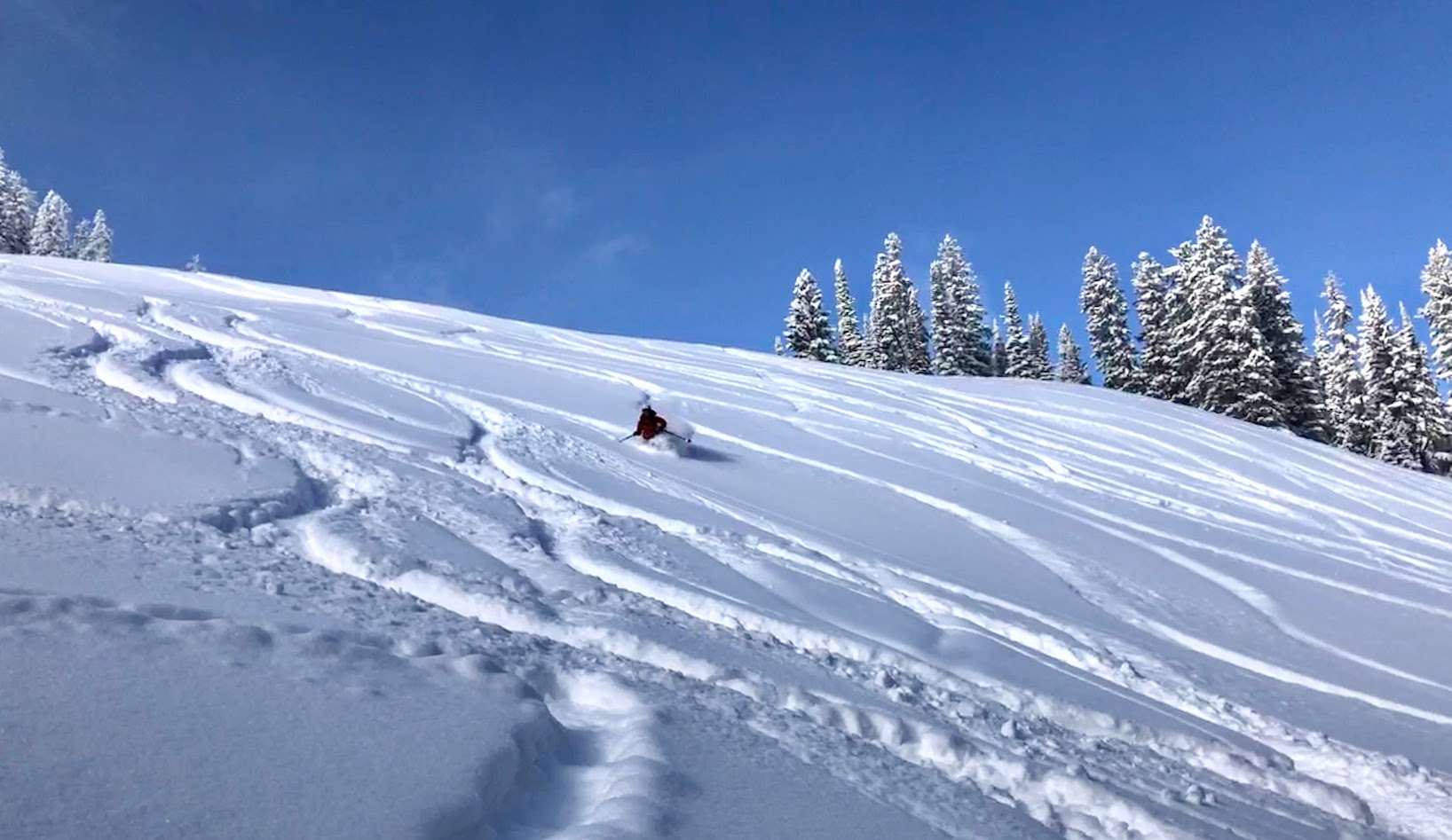 Teton Powder