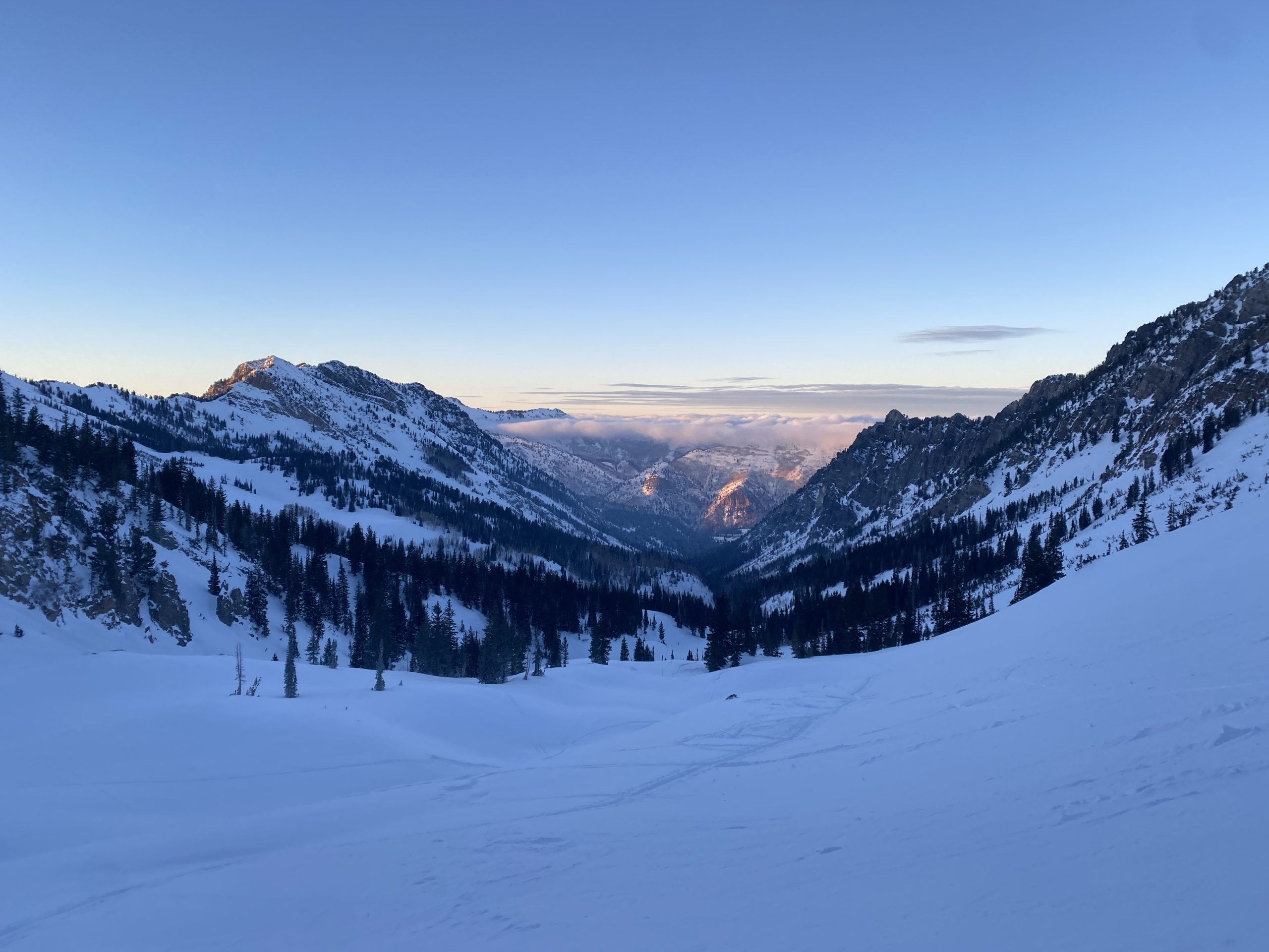 Wasatch Range Ut Backcountry Report Soft North Facing Powder With