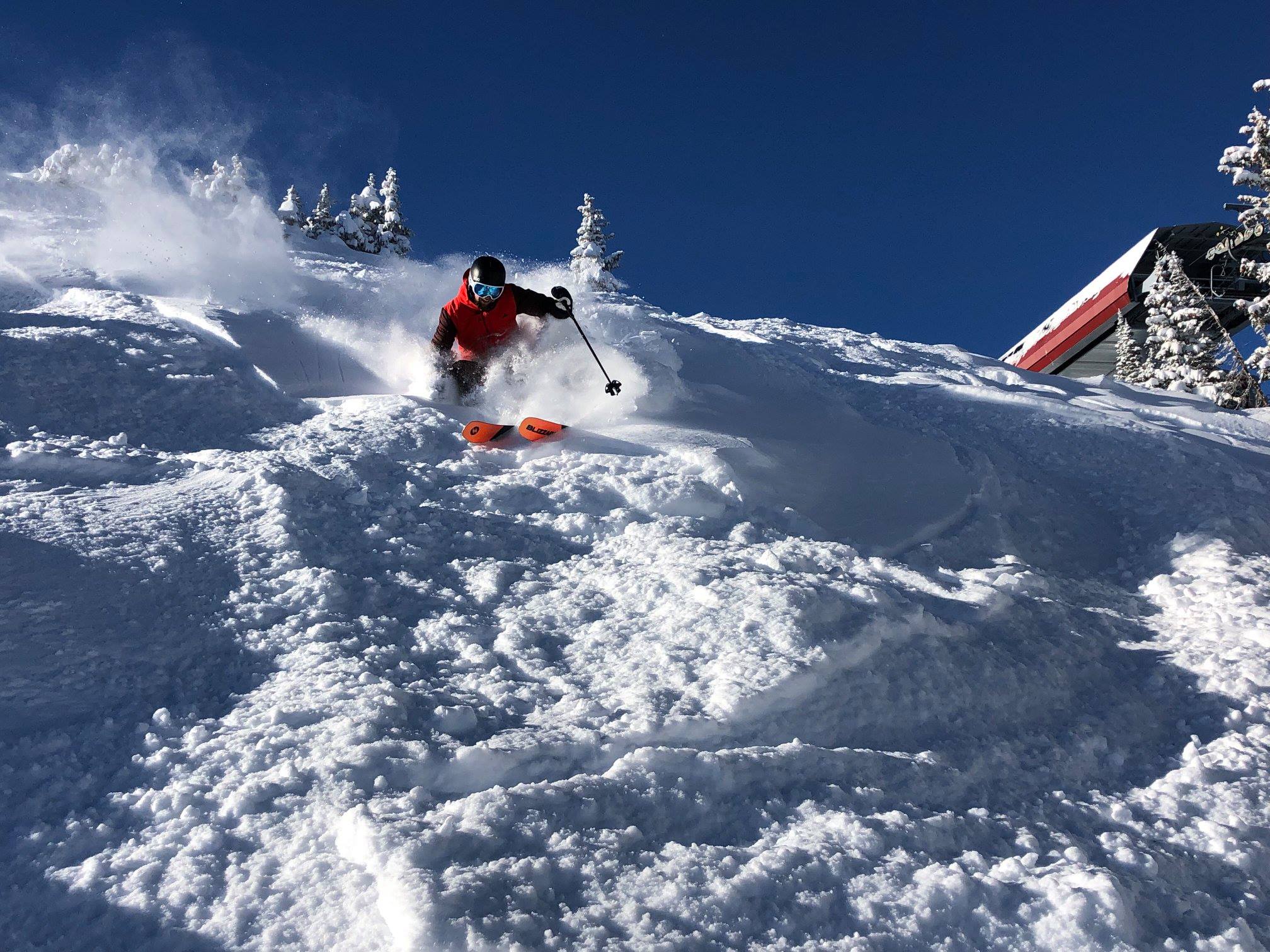 moguls skiing, pole planting