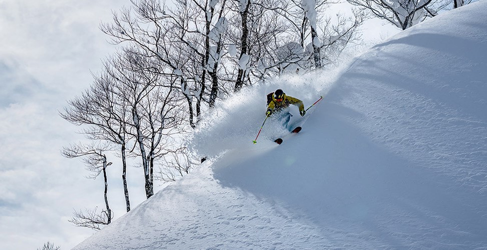 japan ski tours indy pass