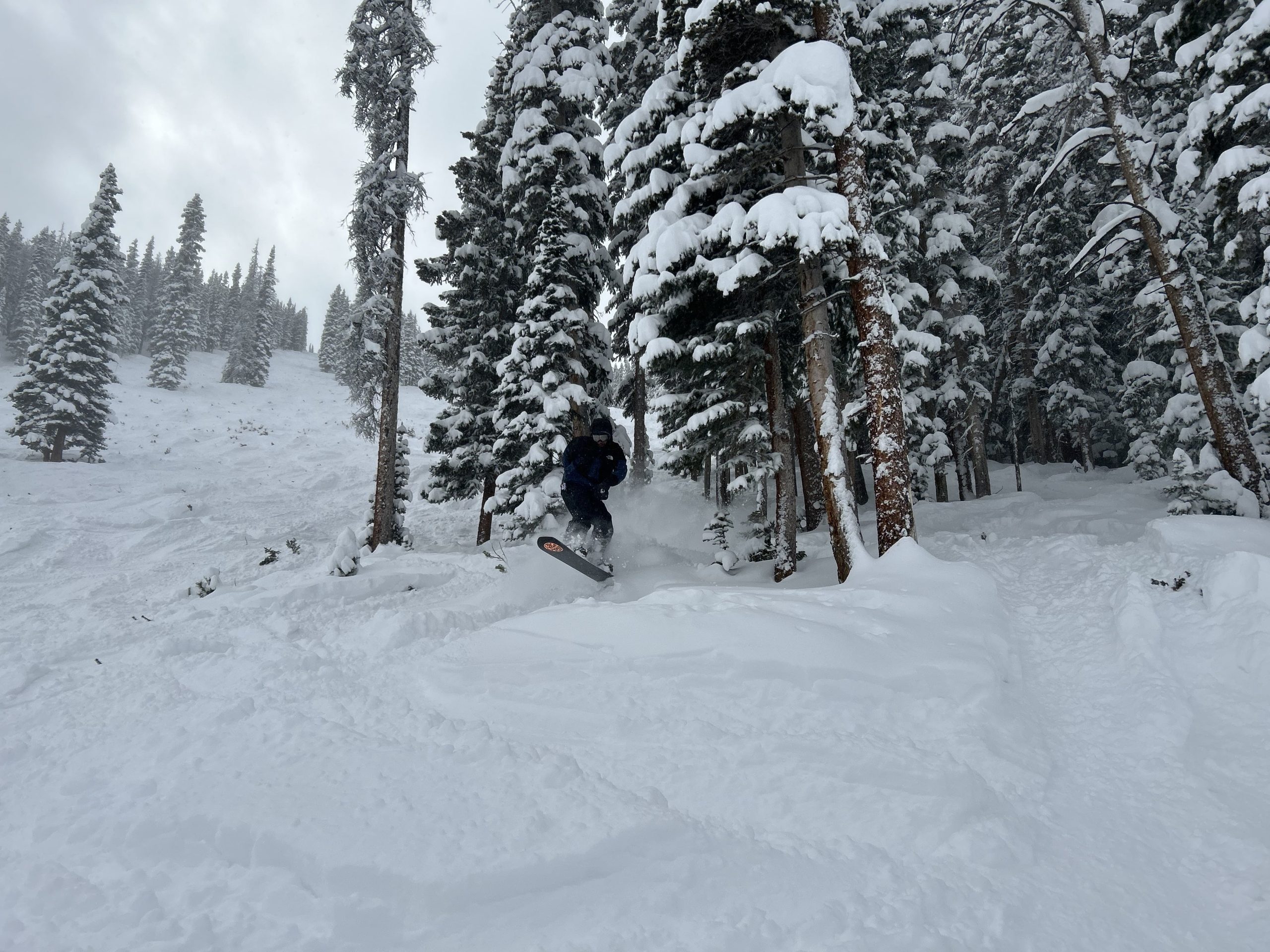 Powder in the Trees, winter park powder day,