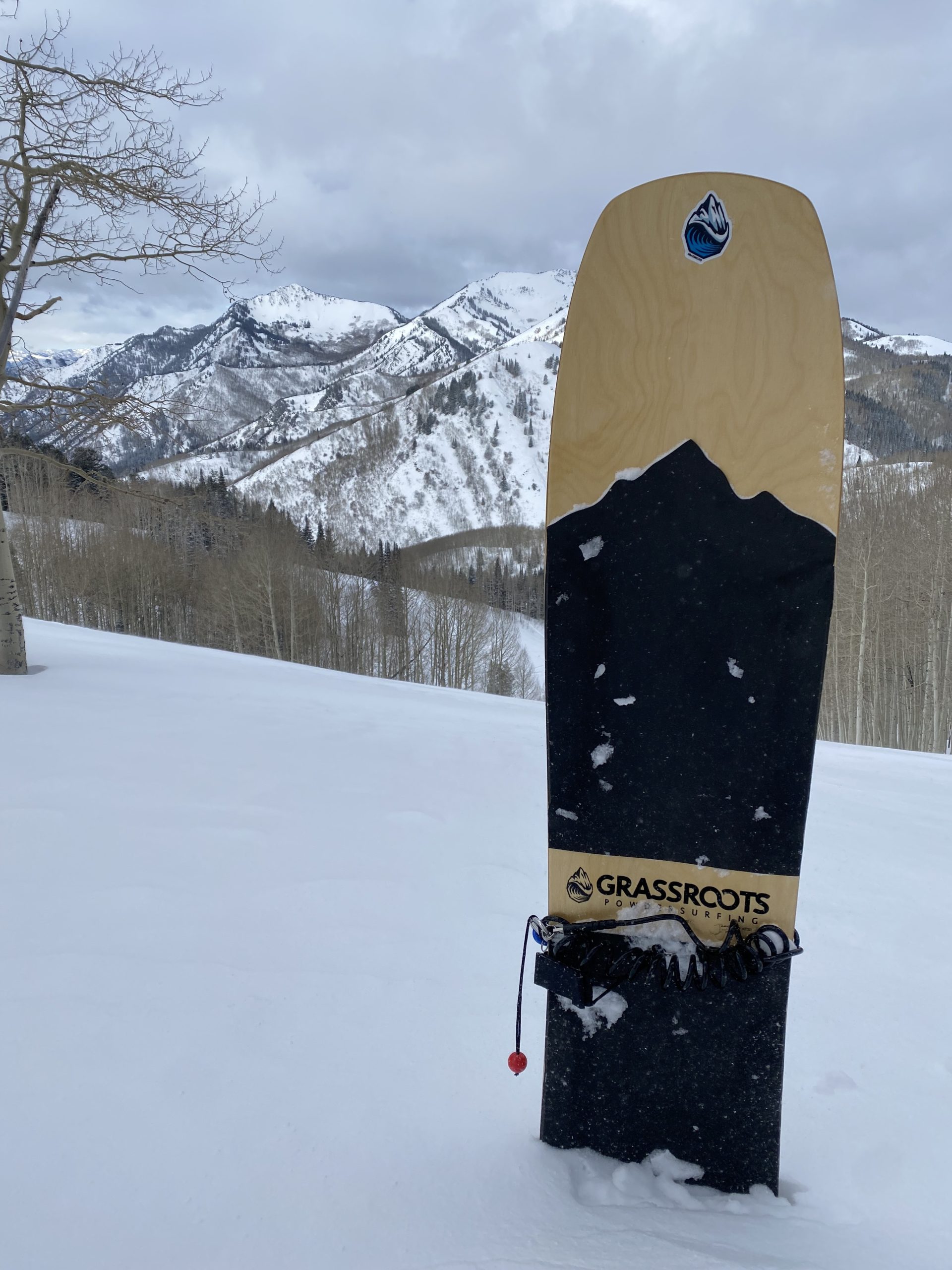 Grassroots snowsurf on sale