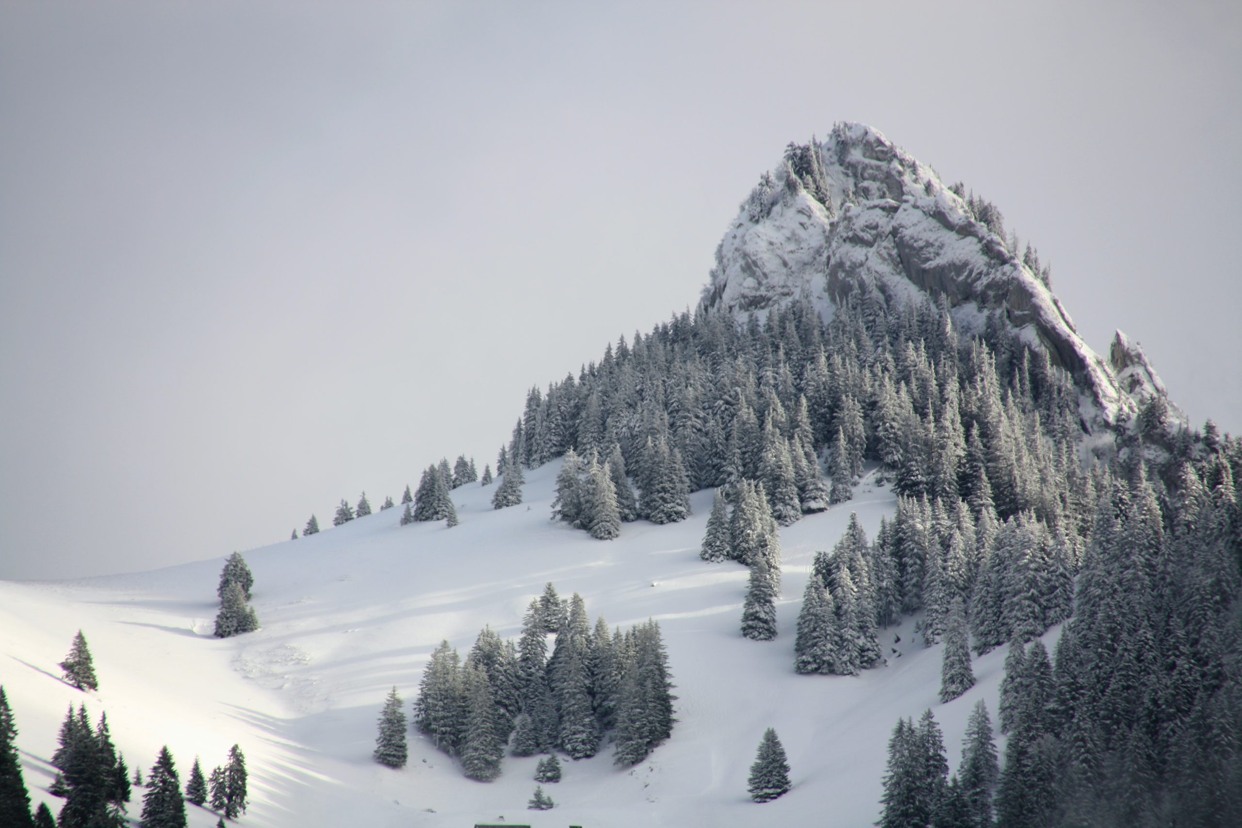 Swiss mountain