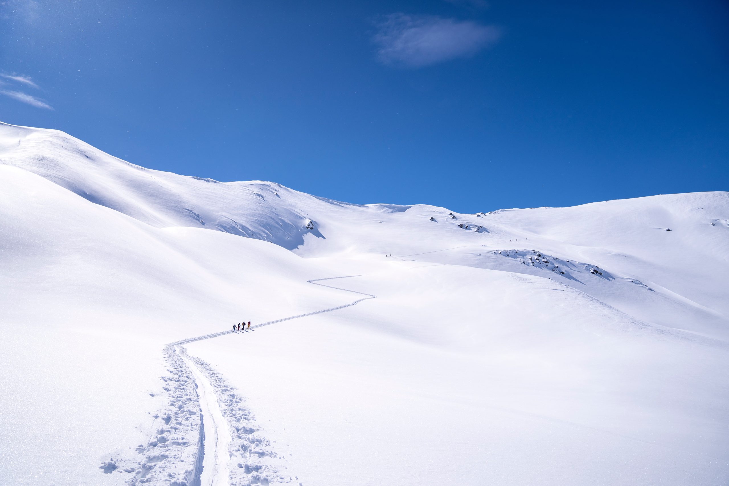 backcountry skiers