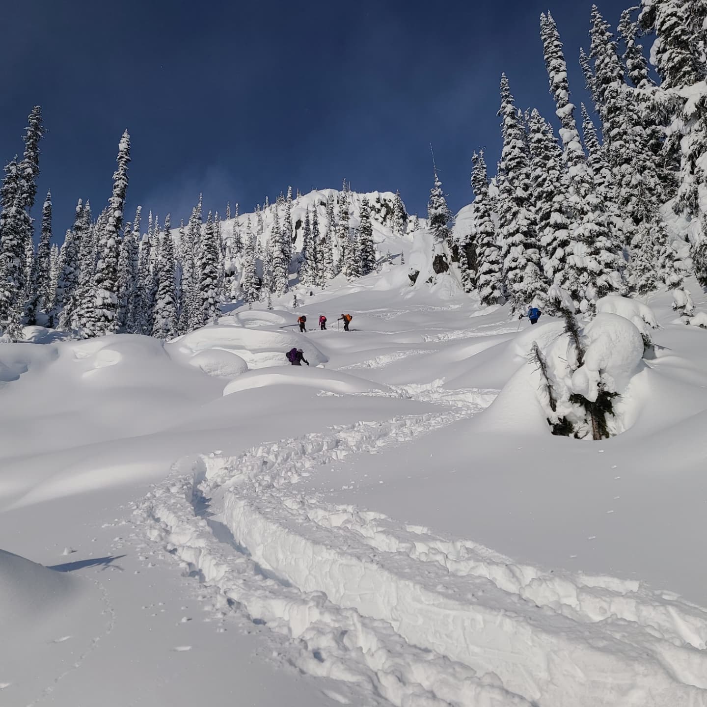 BC backcountry skiers