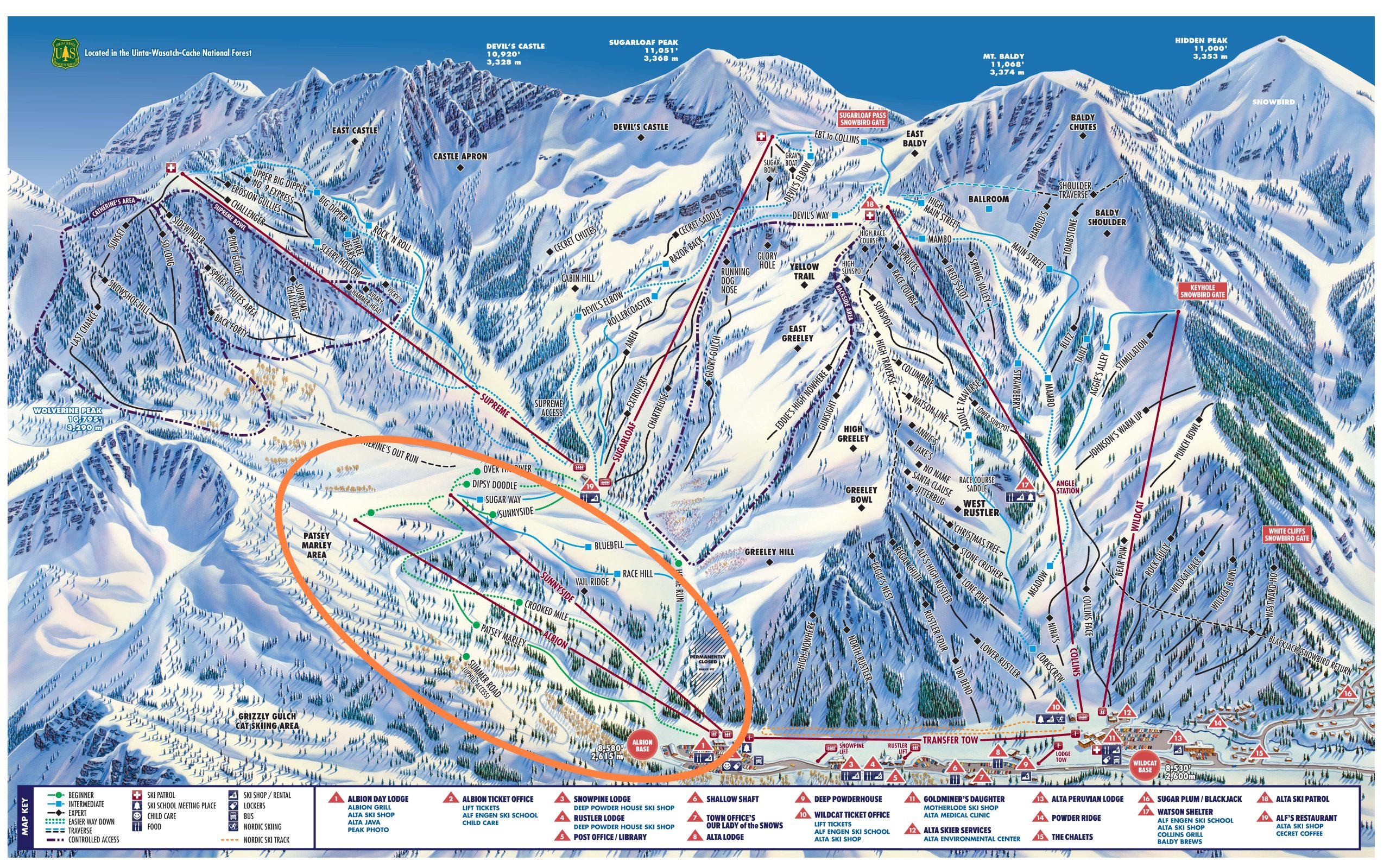 Ski Alta