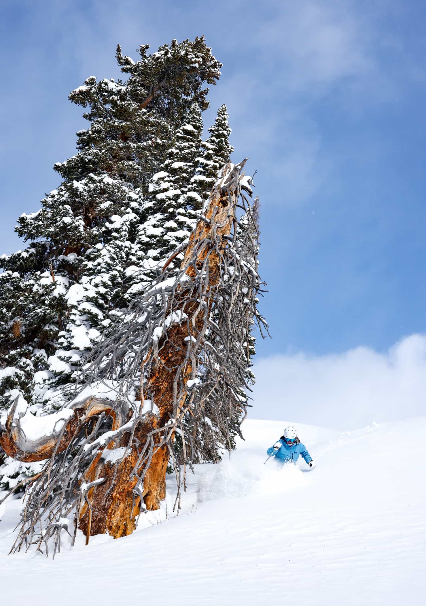 crested butte mountain resort, colorado, the extremes, t-bar