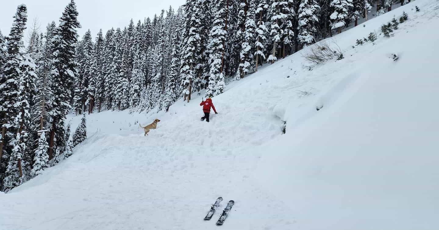 Telluride, avalanche, colorado