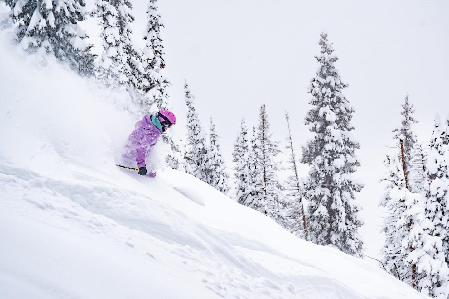 Alta Ski Area