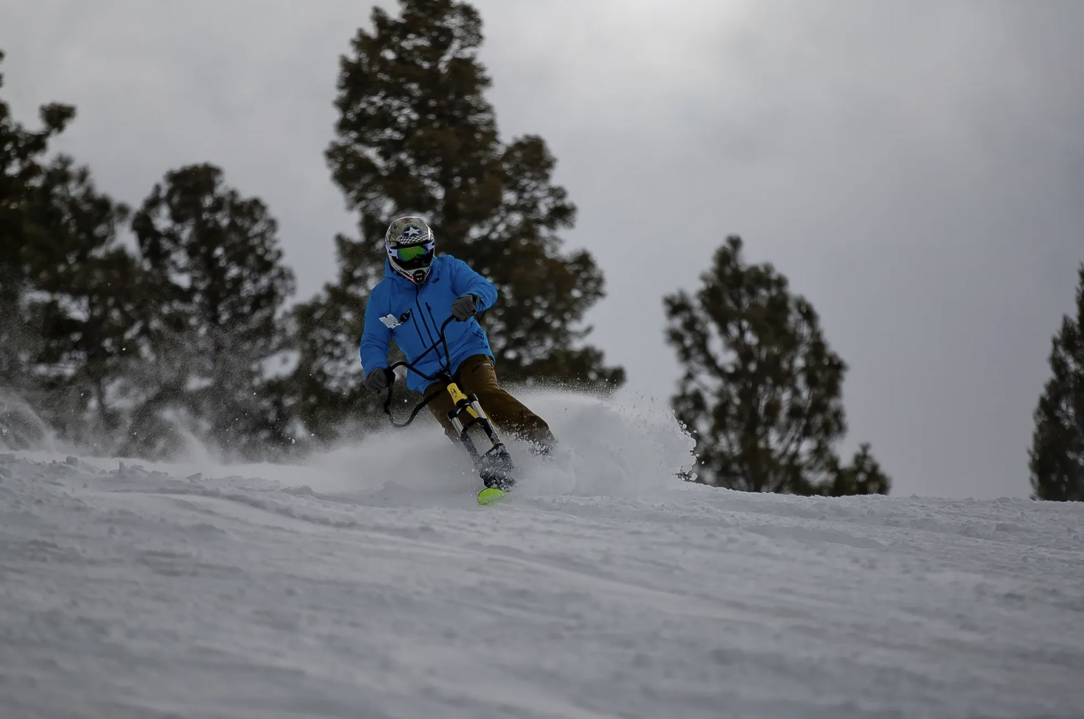 Ski Bike