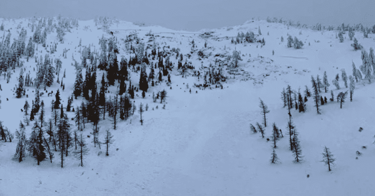 2nd Police Officer Dies Following Avalanche Near Kaslo, BC, 2 Weeks Ago ...