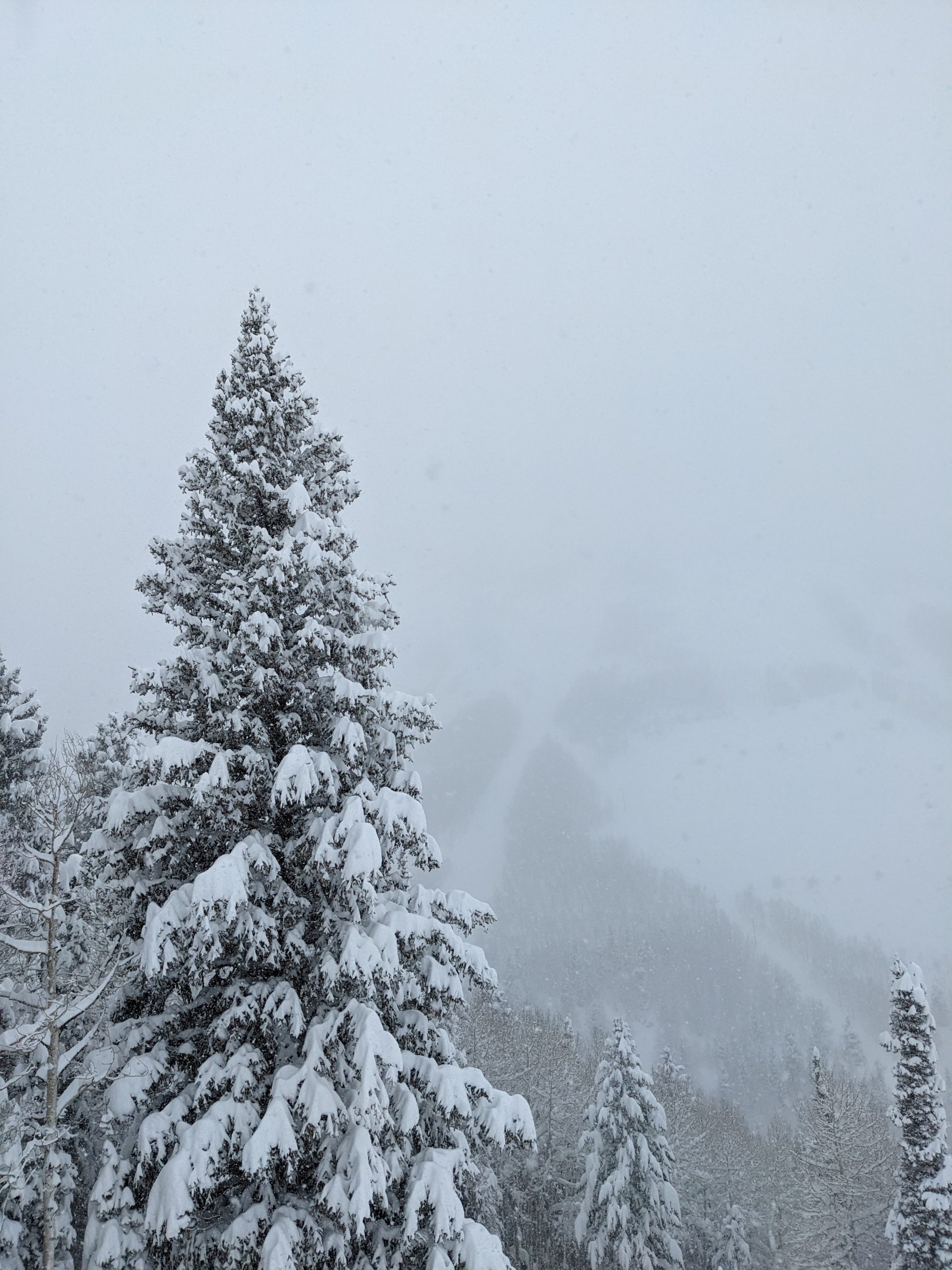 Park City, UT Report: Deep Powder on New Year's Day - SnowBrains