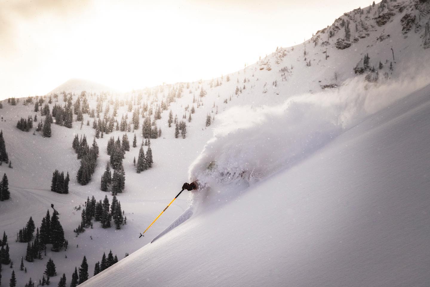 powder face shots at alta