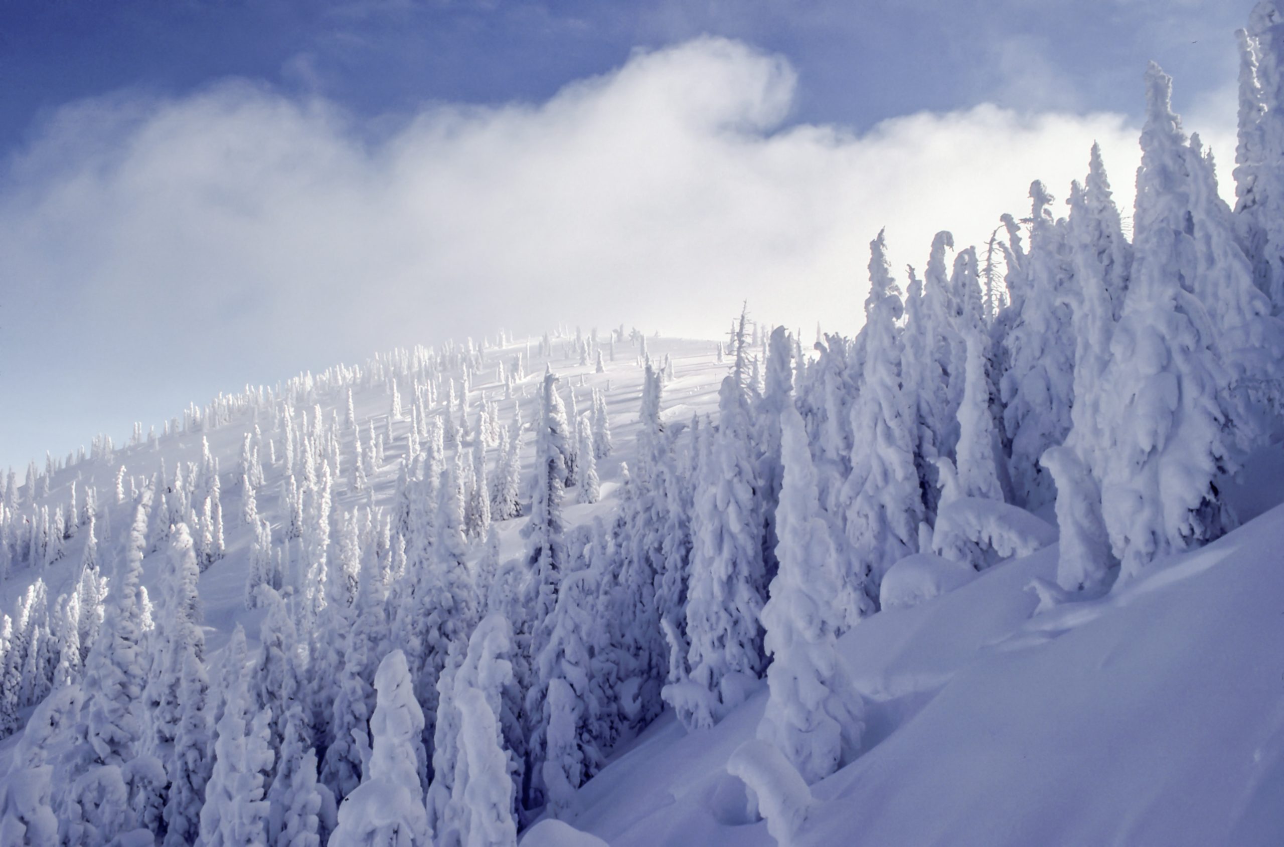 Steamboat Ski Resort; First Resort in Colorado to Surpass 200" of Snow