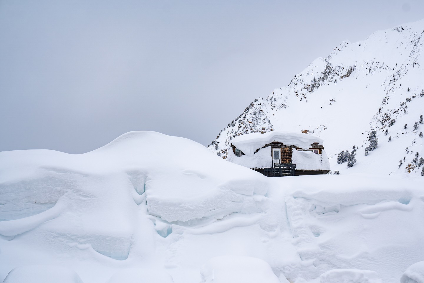 a lot of snow art alta in utah