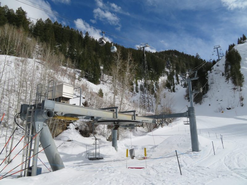 Panty tree in the Canadian Rockies where bras, panties, and Mardi Gras  beads cast off by skiers riding the chair lift decorate its branches, a  traditi Stock Photo - Alamy