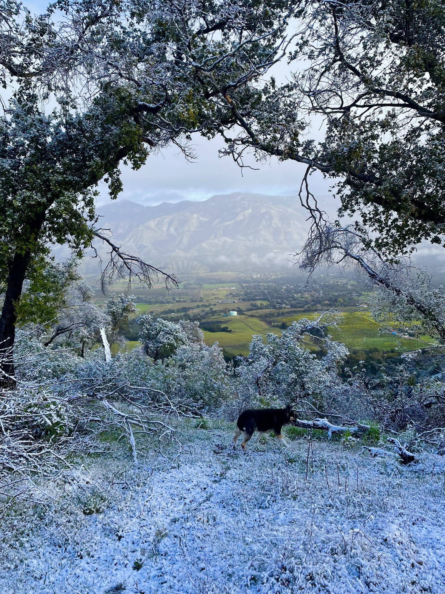 Snow socal