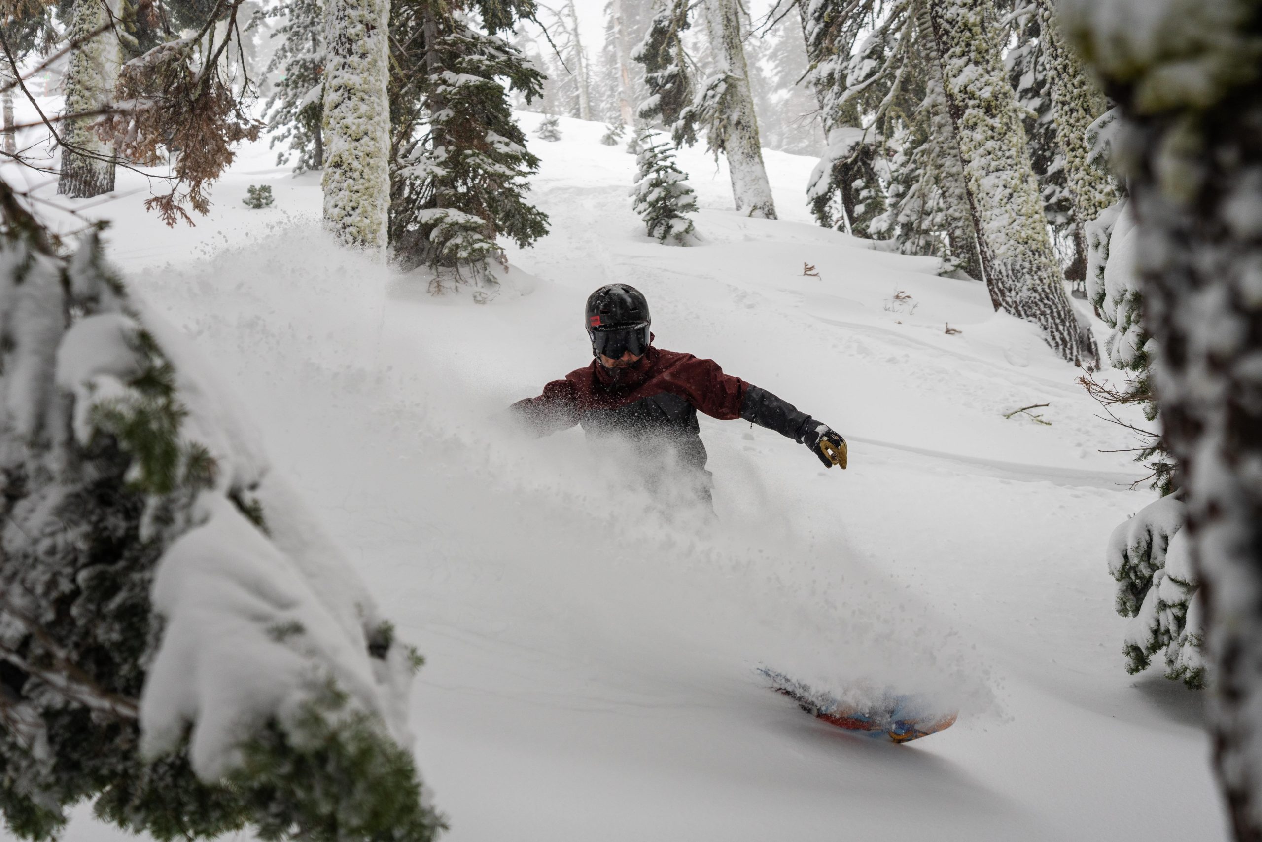 Powder Tahoe, sugar bowl, california