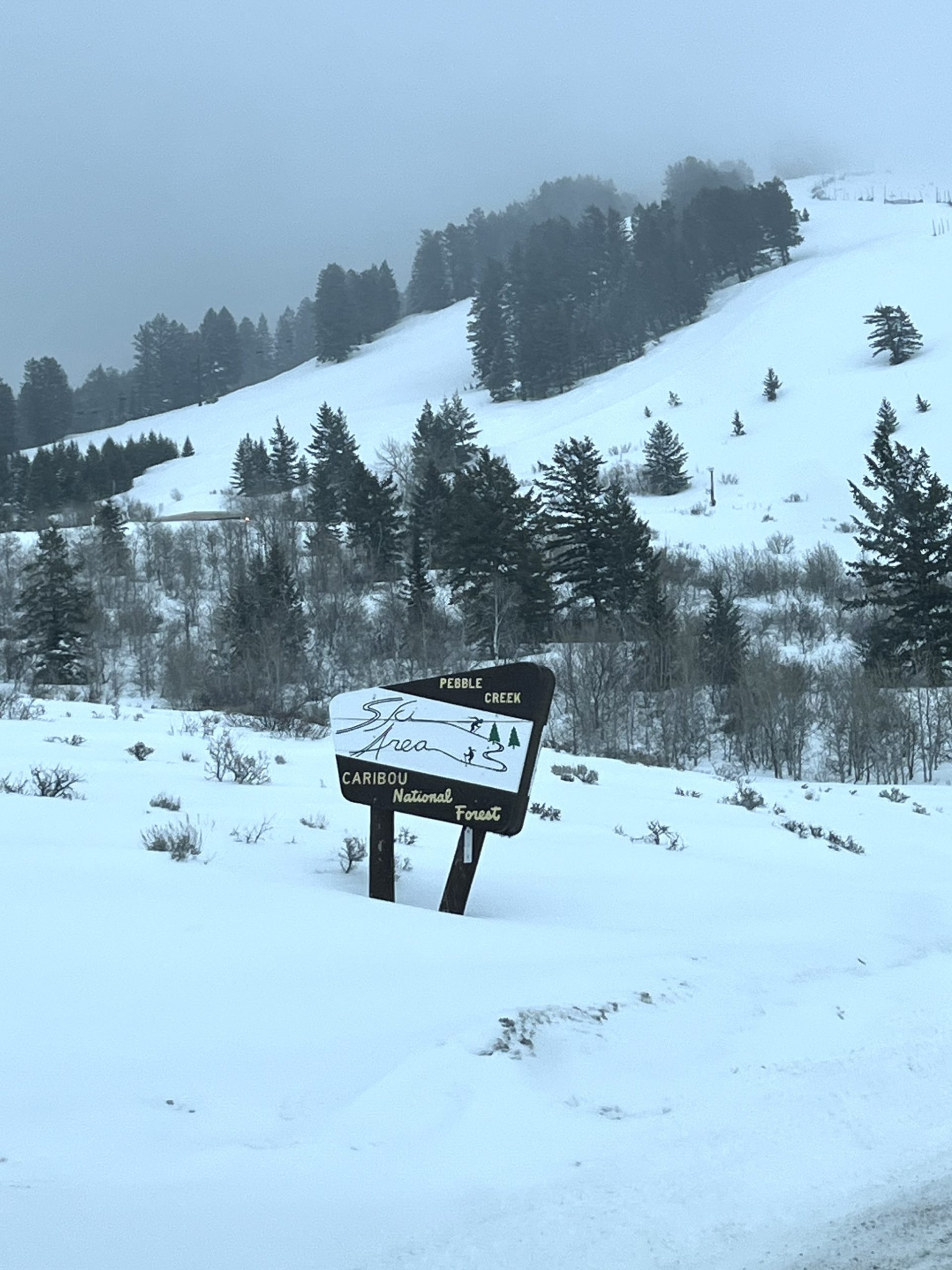 Pebble Creek, ID: Presidents' Day Powder, Trees, and Cliffs