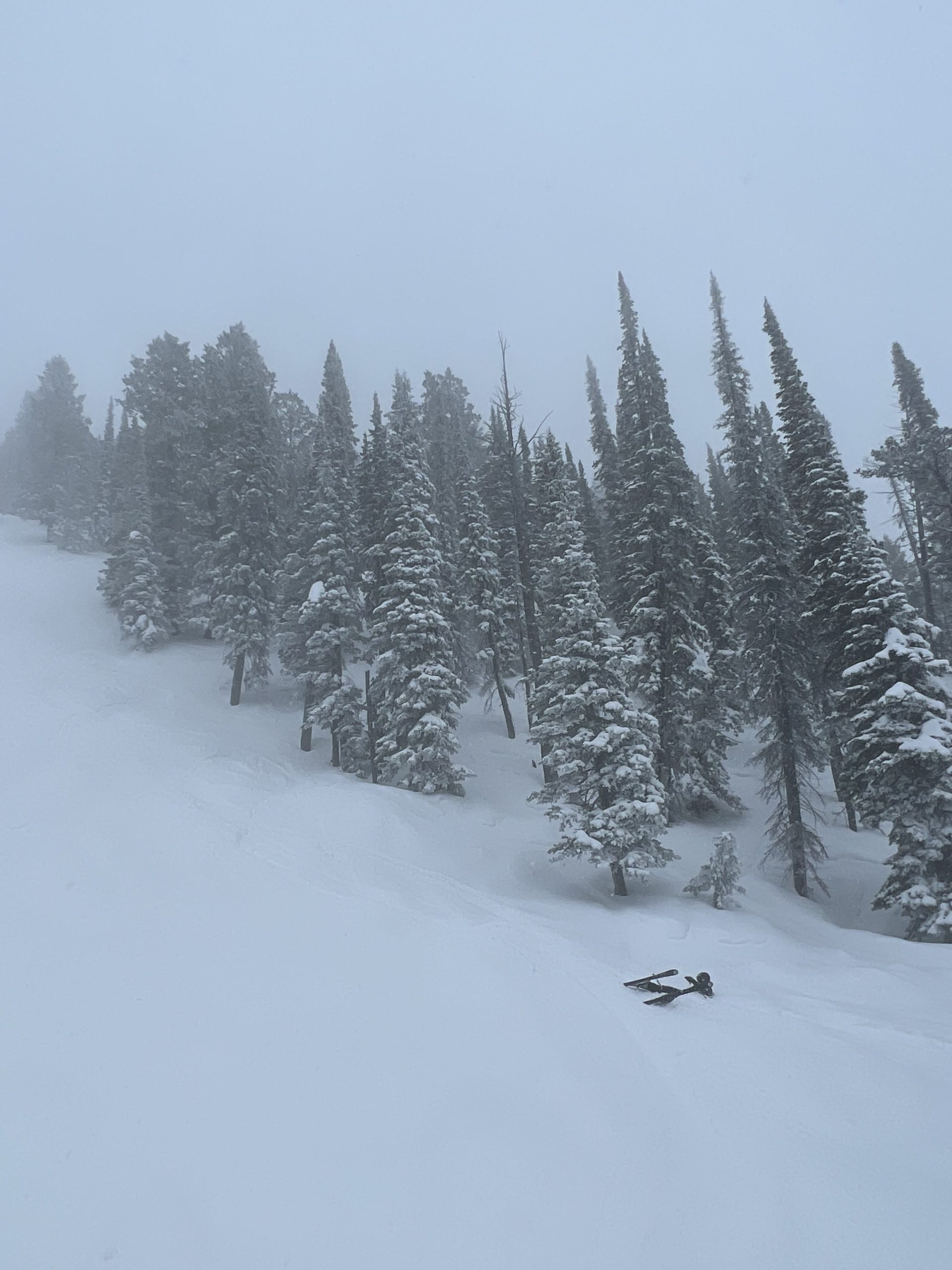 Pebble Creek, ID: Presidents' Day Powder, Trees, and Cliffs - SnowBrains