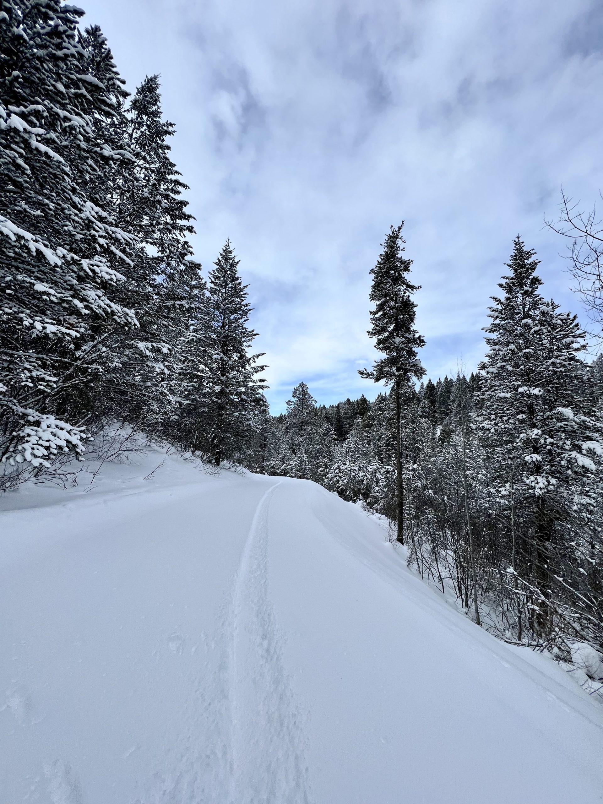 powder bowl exit