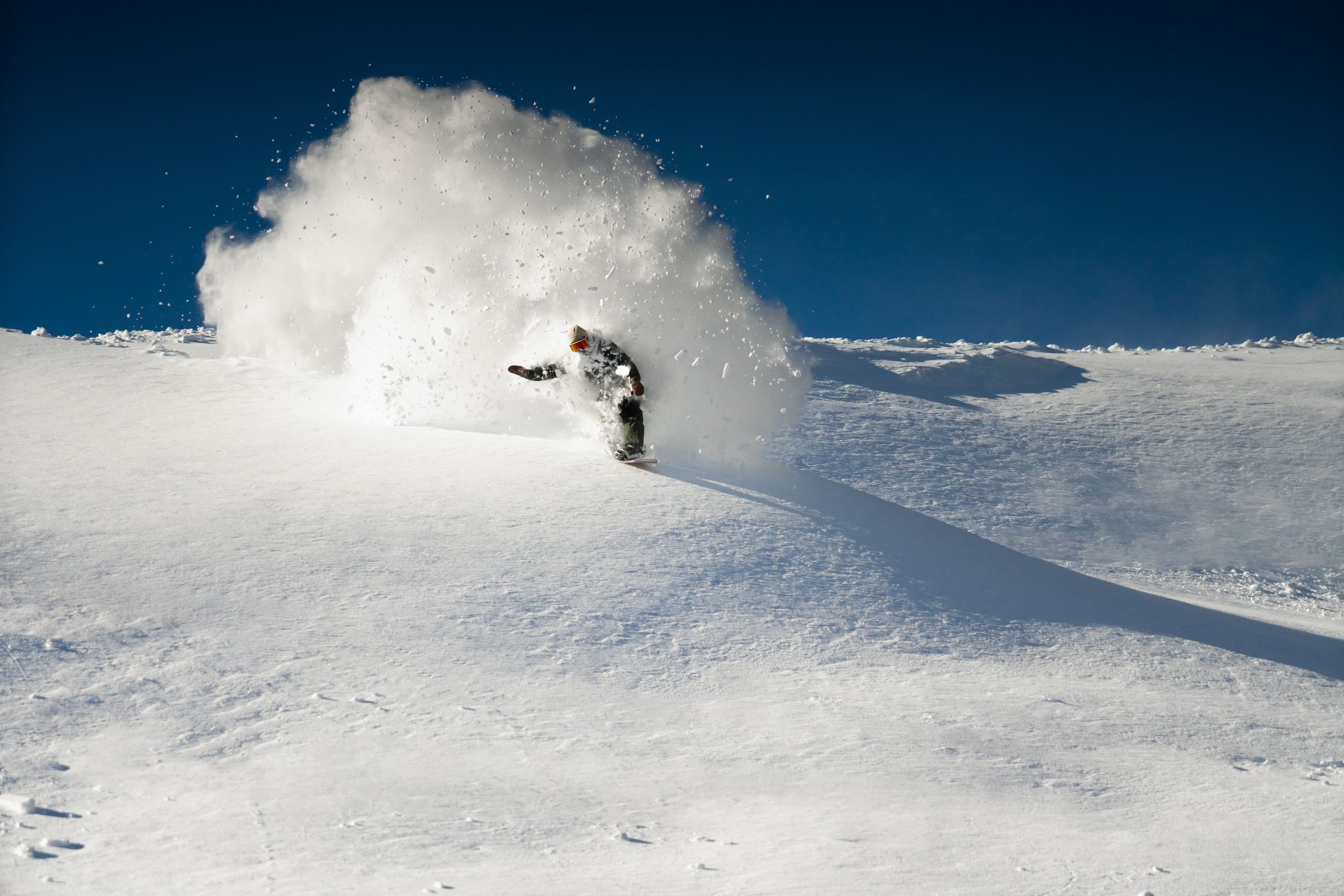 Blue Bird Powder, sugar bowl, california