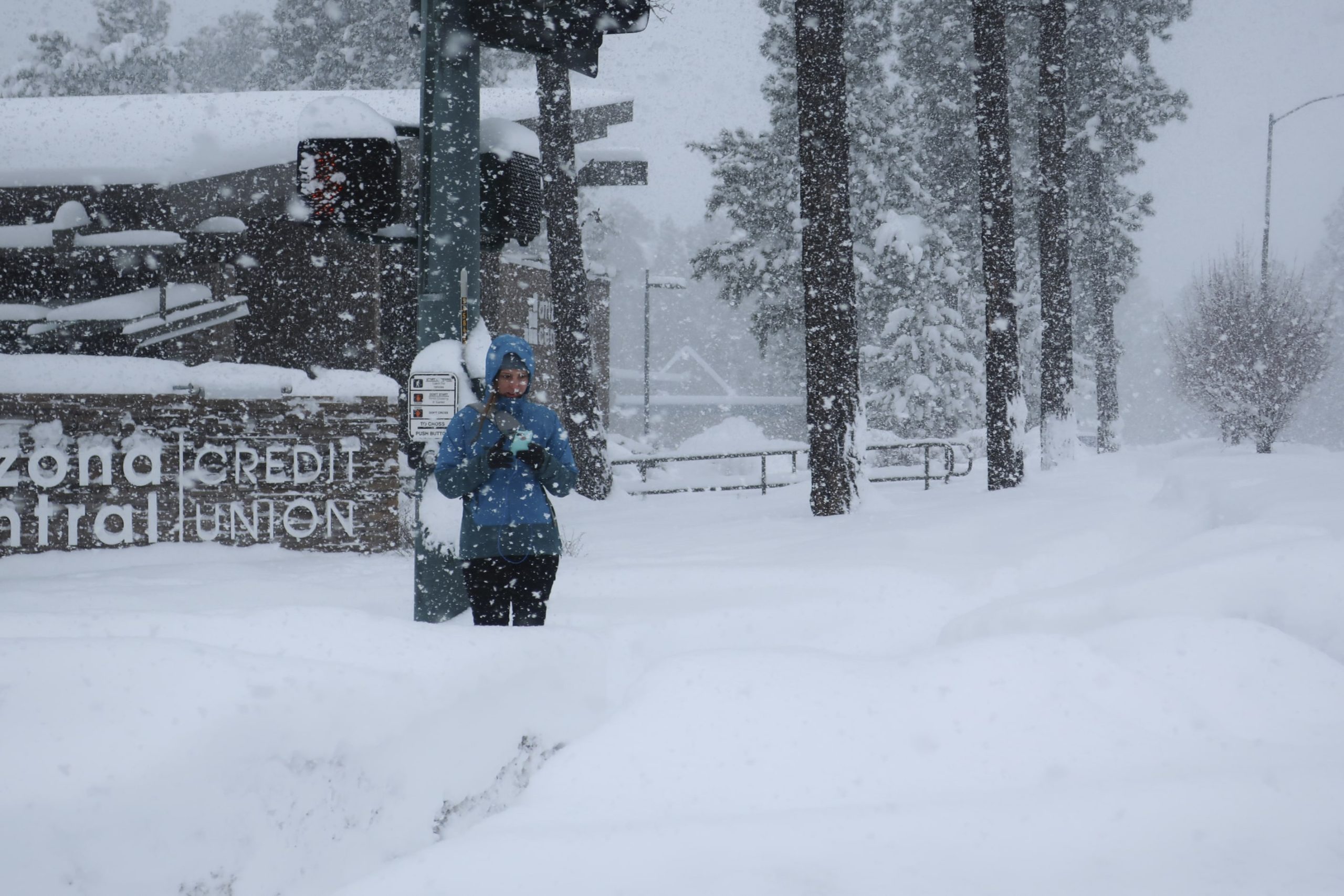 Flagstaff Snow Totals 2025 - Trixy Hermione