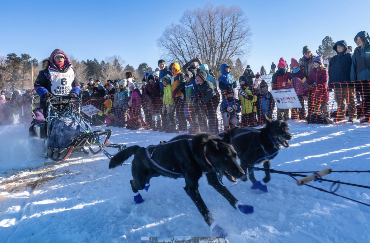 The Women Dominating The Idaho Sled Dog Challenge – SnowBrains