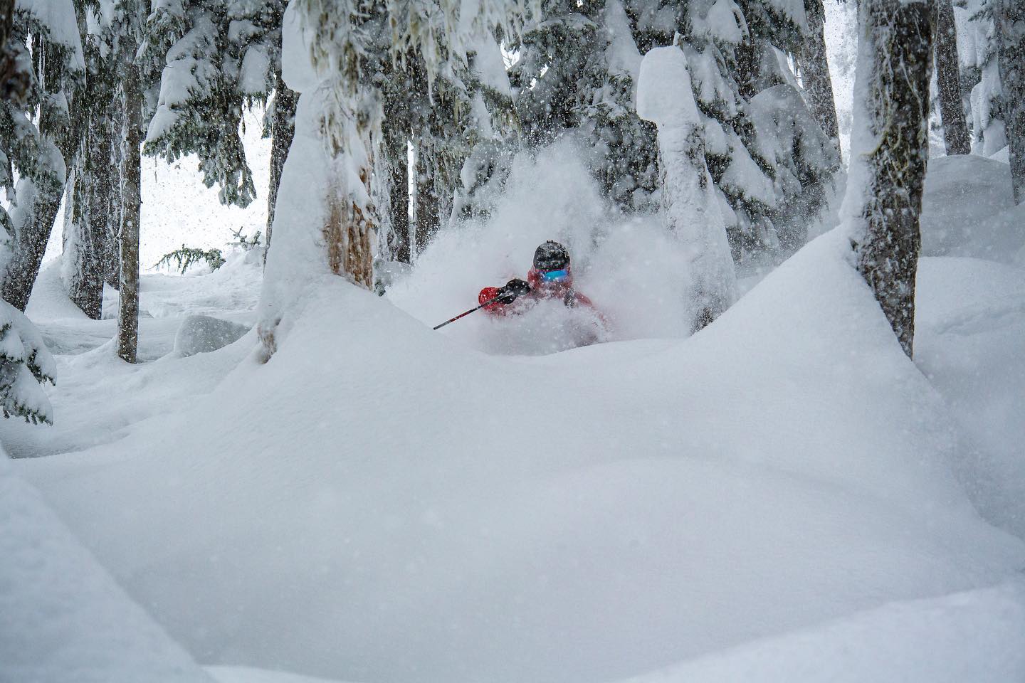 powder skiing whistler