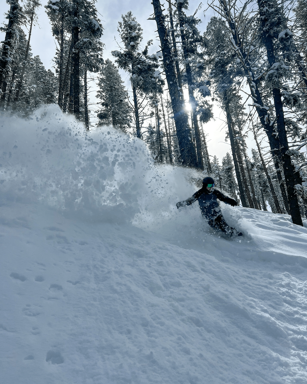 Ski Idaho