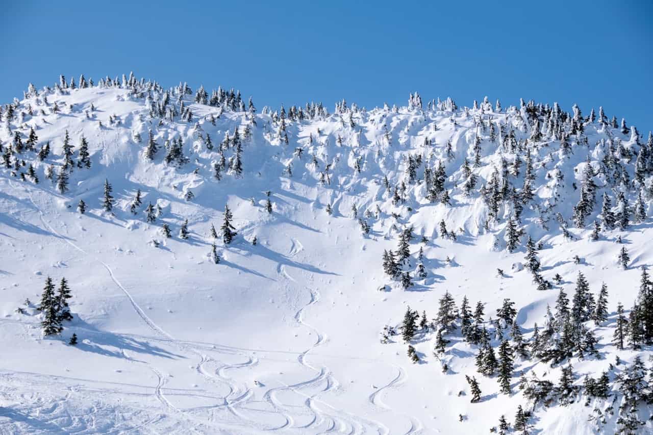 Today's Deepest Resorts – These Are North America's Top 5 Snowfall Totals  for January 5, 2024 - SnowBrains