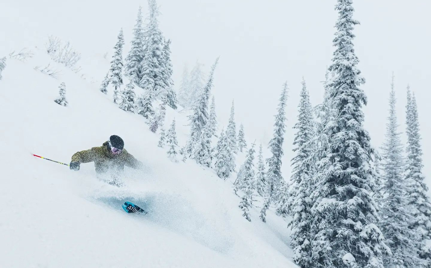 Powder Tree Skiing