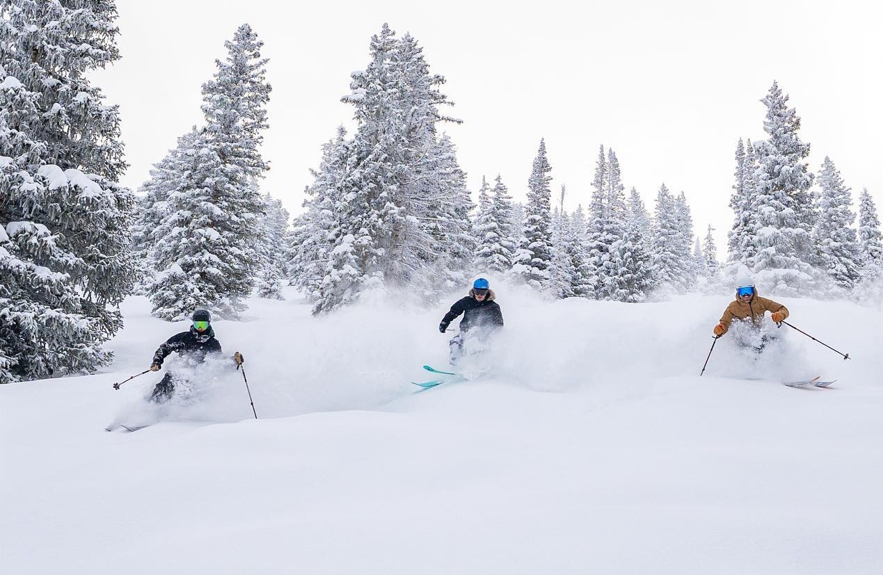 trio of glade skiers