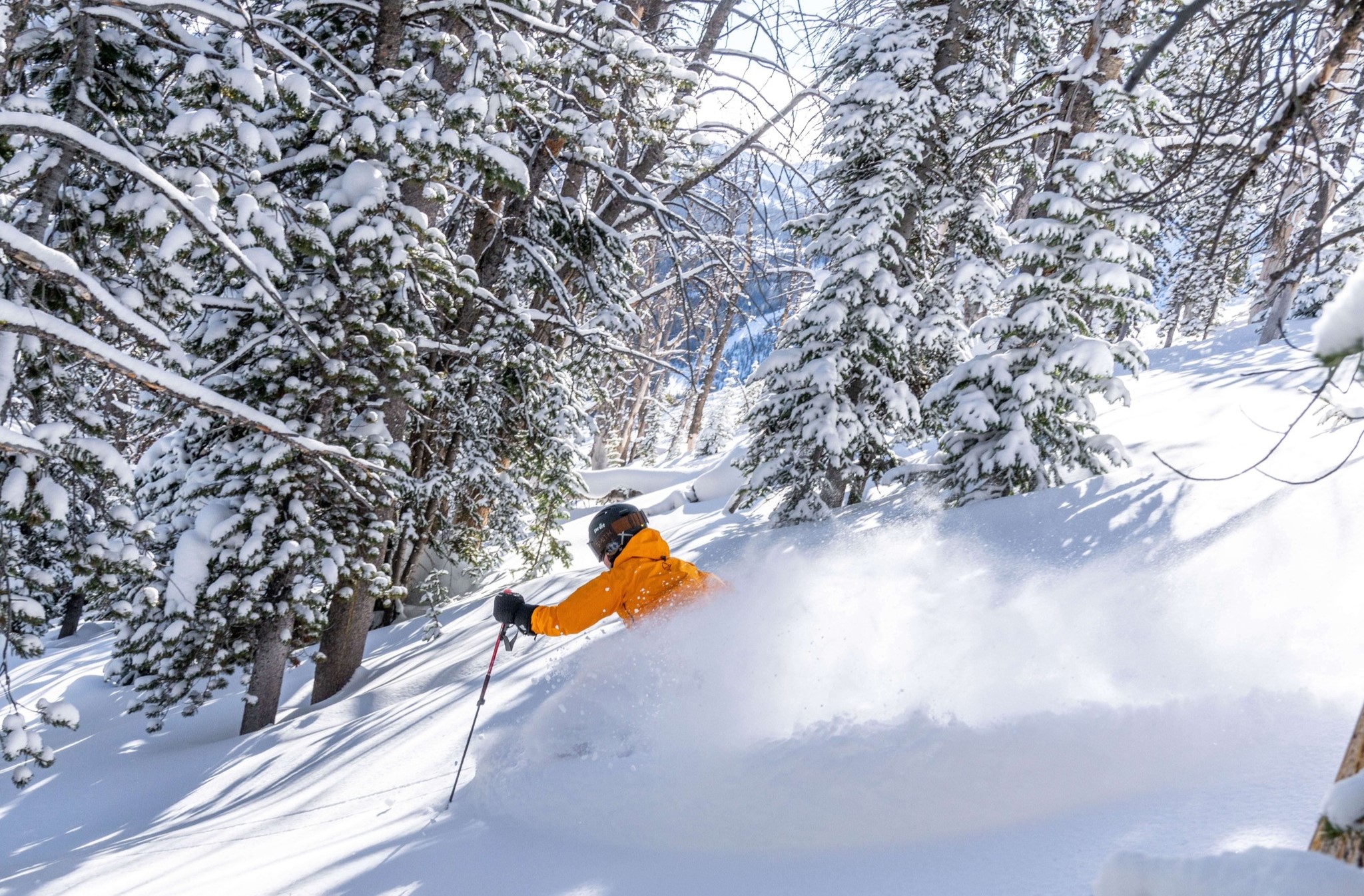 powder glades