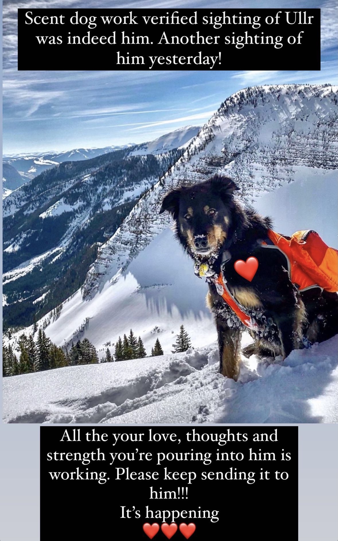 CO avalanche survivor determined to find dog missing since March 17 slide