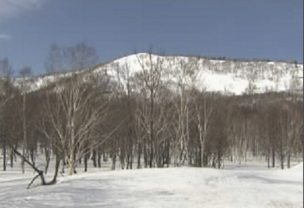 Tree skiing