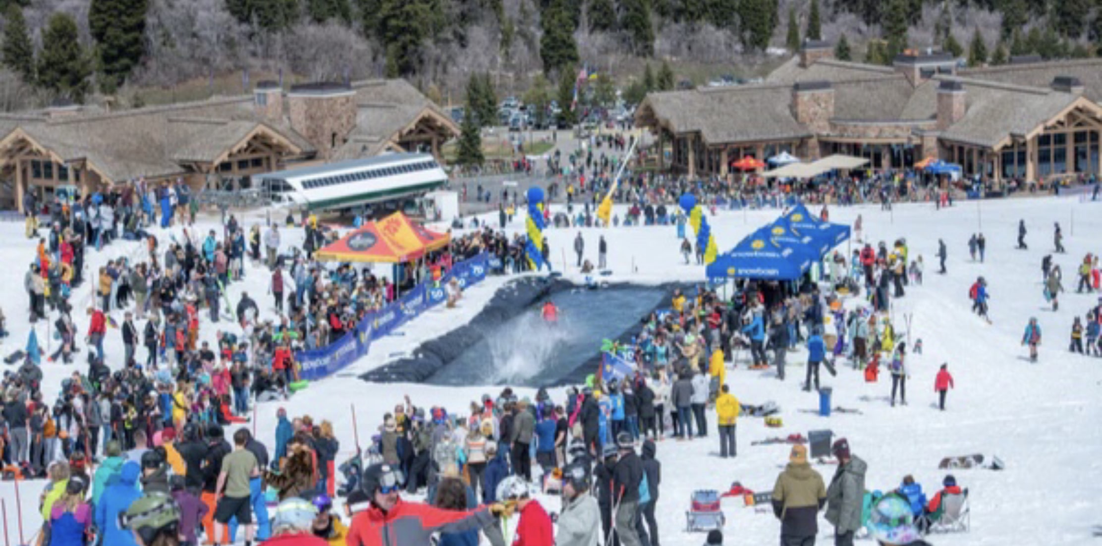 Pond Skim