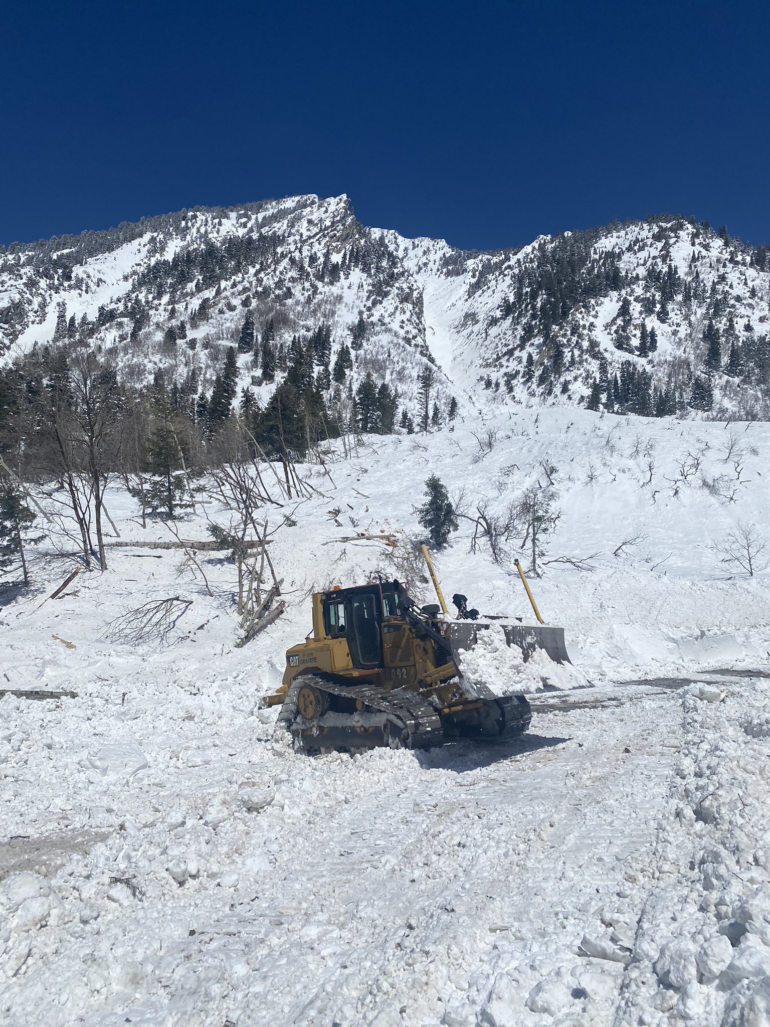 Avalanche debris