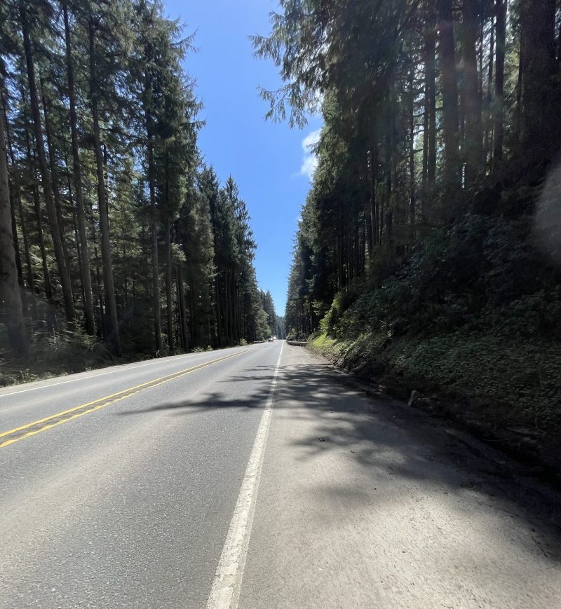 Somewhere south of South Bend along hwy 101. Photo Credit: Luke Guilford