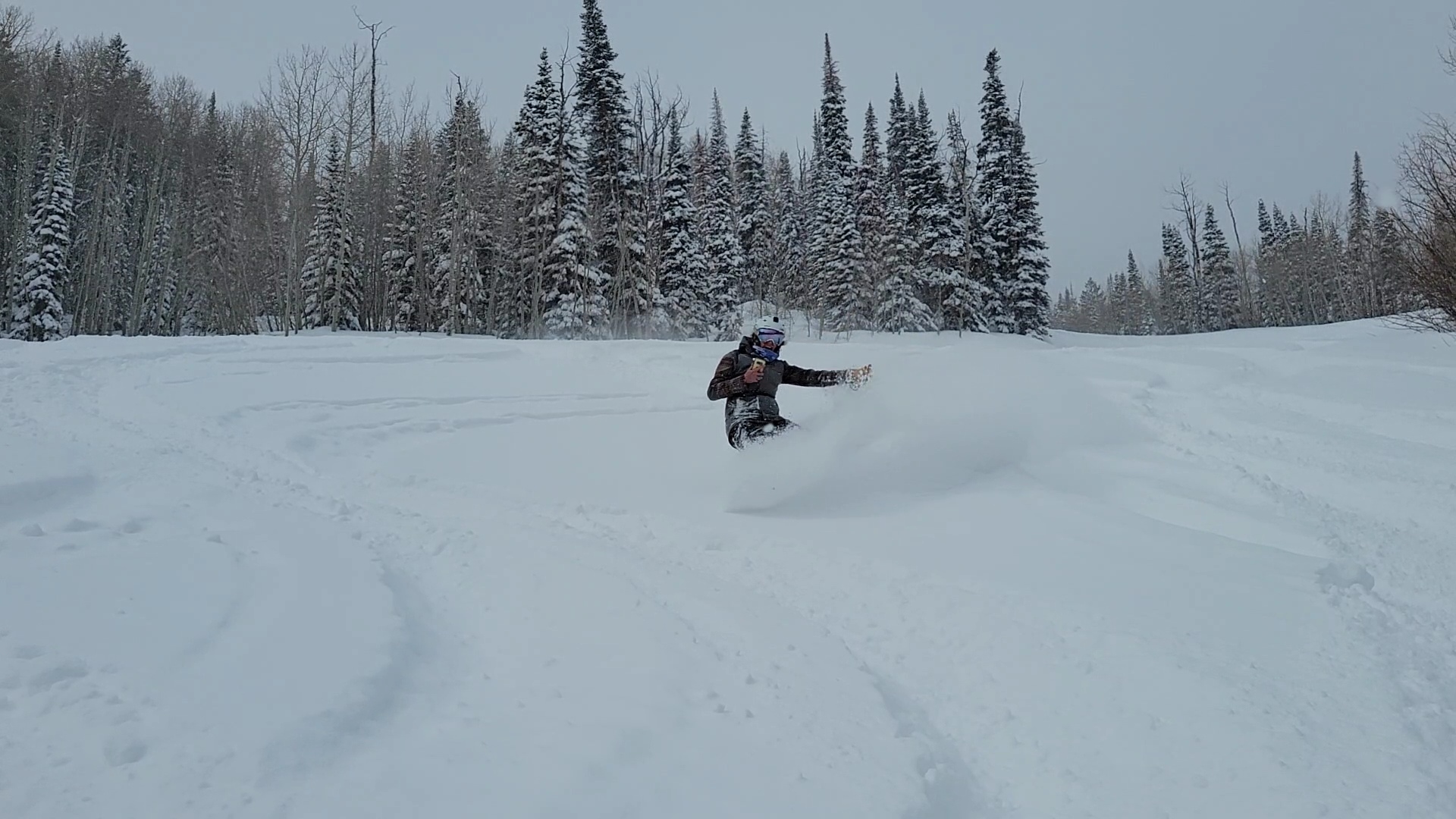 Powderhorn, colorado