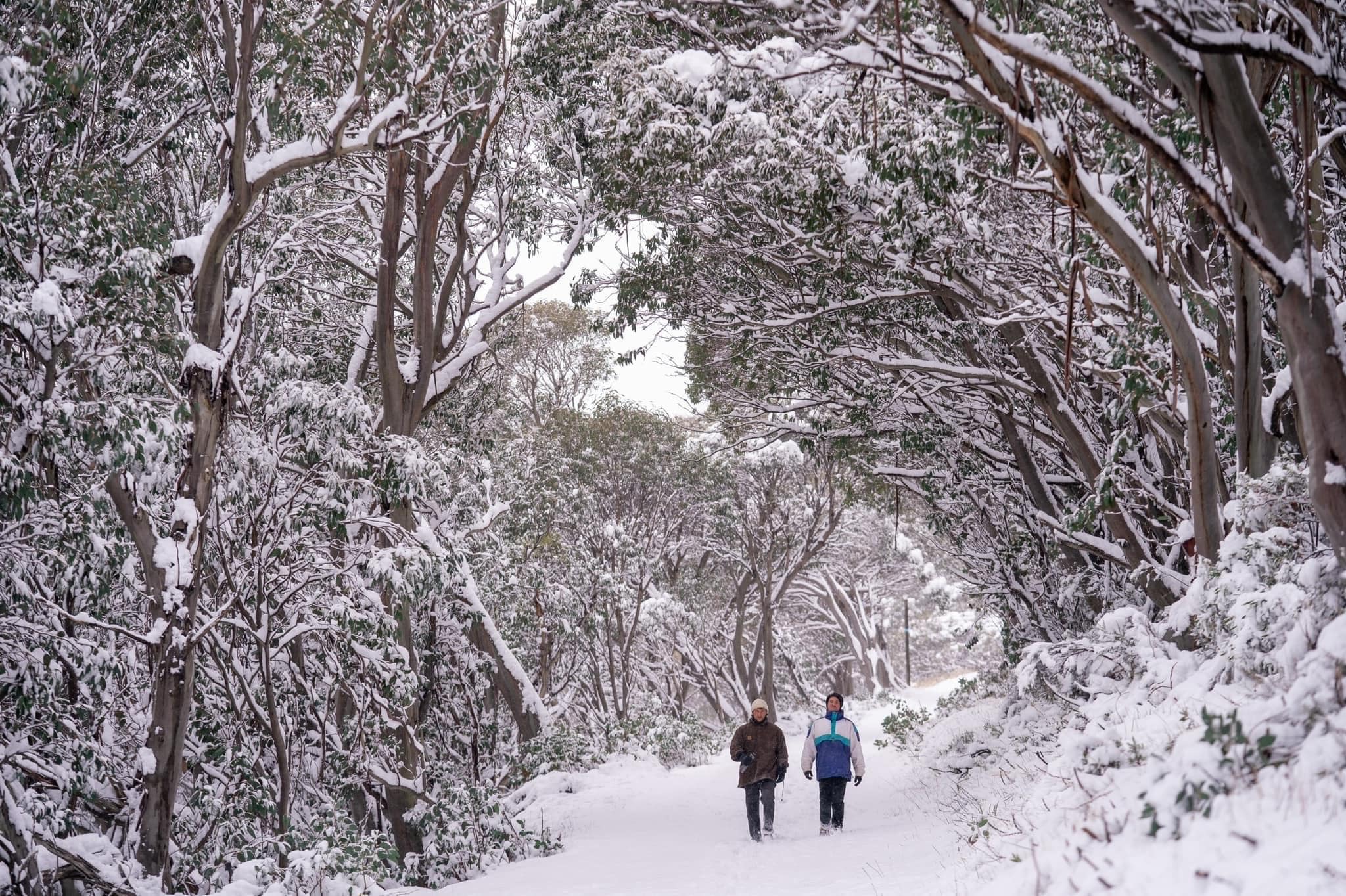 Falls Creek