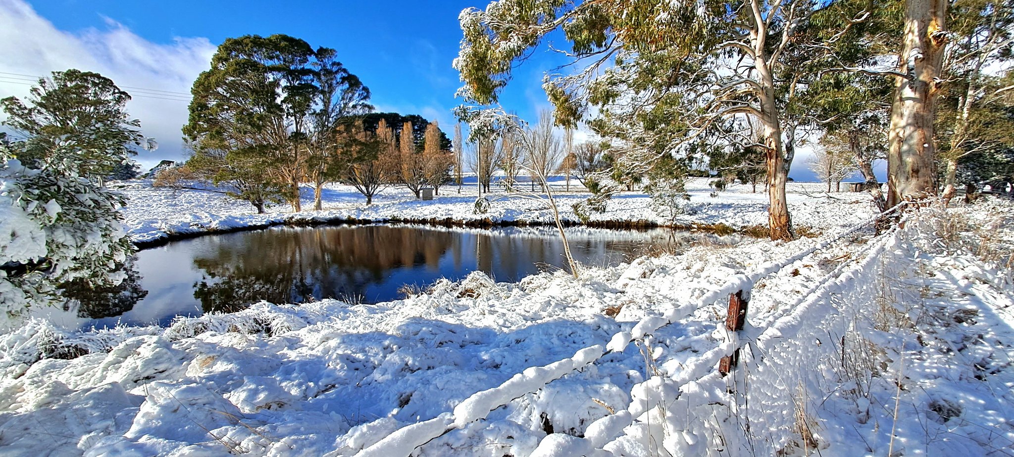 Winter 2024 tops australia