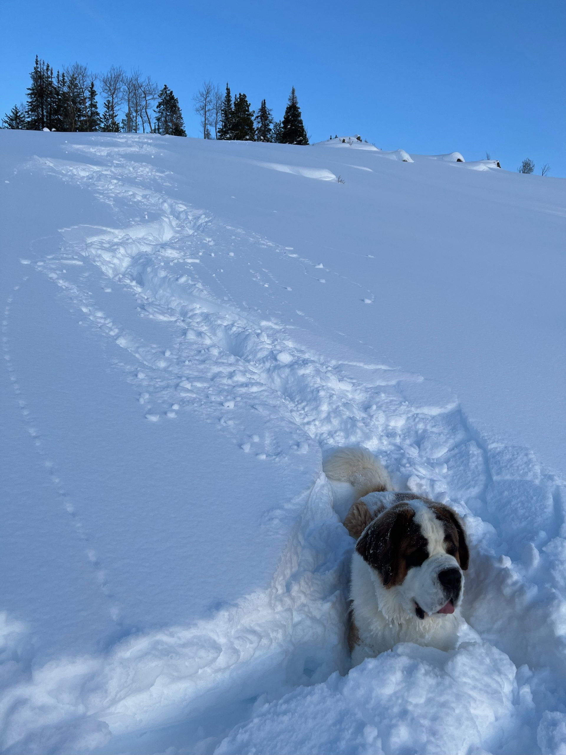 Farwell, Lester Mt