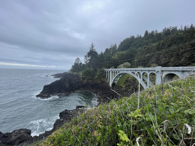 A bridge along the Otter Crest Loop.